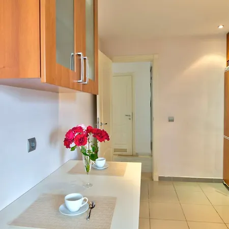 Colorlife Apartman *